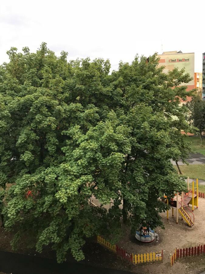 Apartment Kubo Vranov nad Toplou Dış mekan fotoğraf